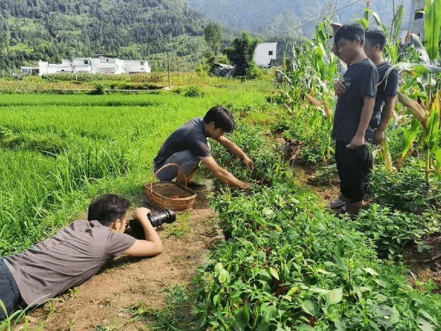 【網信貴州 E企前行】奮進新征程 譜寫新篇章：省第十三次黨代會在貴州互聯(lián)網行業(yè)引發(fā)熱烈反響（3）