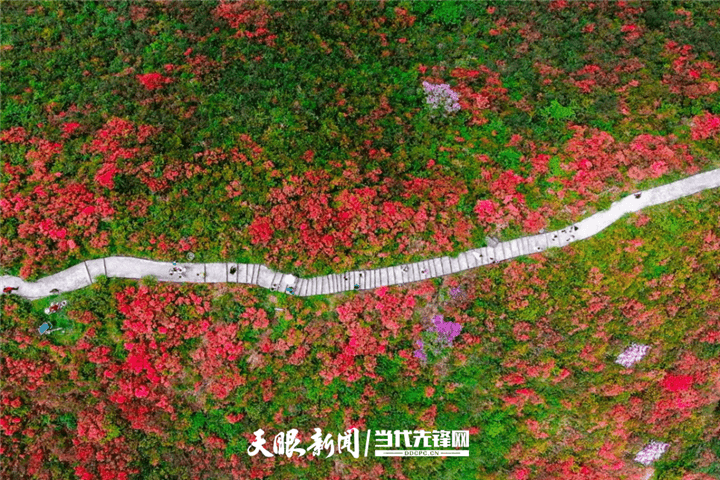 貴州文旅發(fā)布｜“五一”假日第一天 全省旅游景區(qū)有序迎客