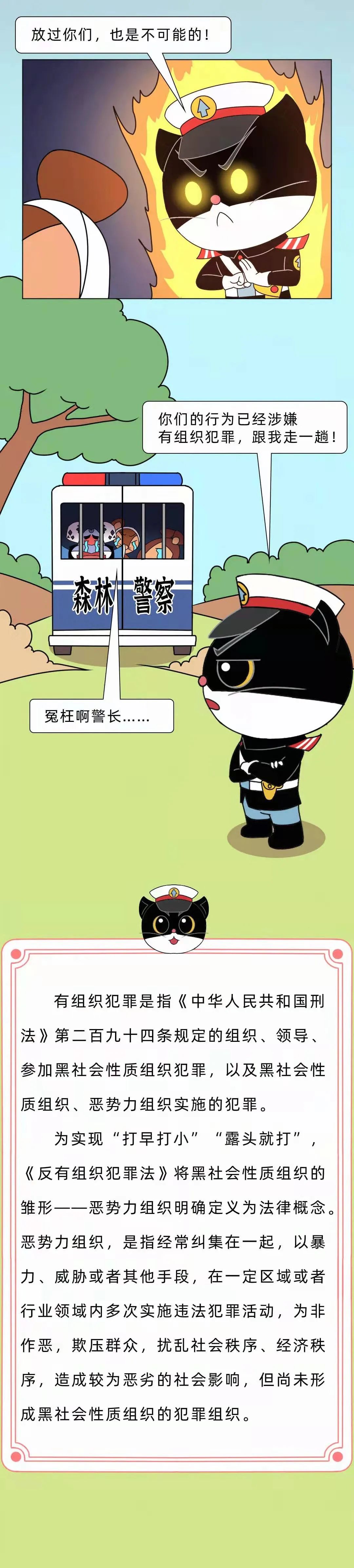 黑貓警長(zhǎng)帶您了解《反有組織犯罪法》六大亮點(diǎn)