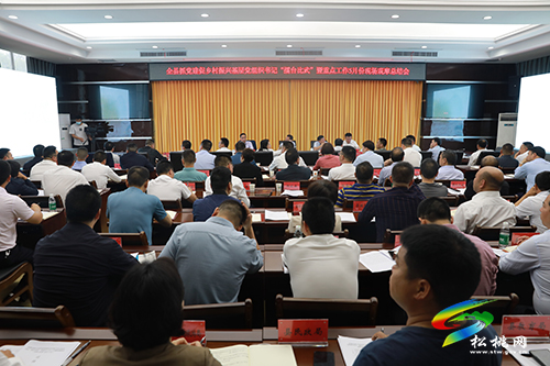 松桃召開抓黨建促鄉(xiāng)村振興基層黨組織書記“擂臺比武”暨重點工作5月份現(xiàn)場觀摩總結(jié)會