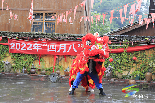 我用自己方式“悄悄”的紀(jì)念你——苗族傳統(tǒng)節(jié)日“四月八”