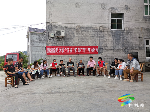 迓駕鎮(zhèn)：開展聯(lián)合專項行動，共筑邊區(qū)“掃黃打非”防護網(wǎng)