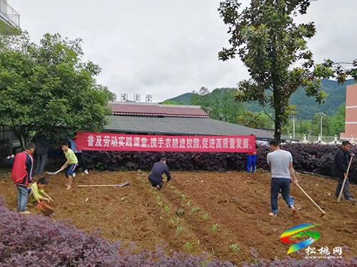 普覺鎮(zhèn)大同完小開展勞動(dòng)實(shí)踐課活動(dòng)