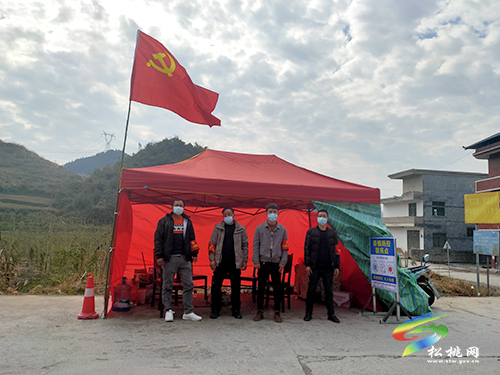 太平營(yíng)街道：“三引”融合，助力鄉(xiāng)村振興