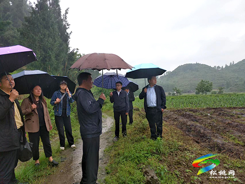 民革銅仁市委到松桃大路鎮(zhèn)桂芽村走訪調(diào)研