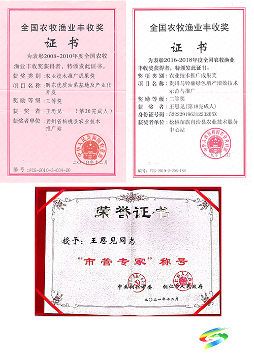 【松桃才俊展風(fēng)采】暢游在田間地頭的追夢(mèng)人——記市管專家王思見