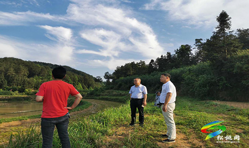 黃板鎮(zhèn)：支部建在地塊上　高效推動(dòng)土地提質(zhì)改造工作