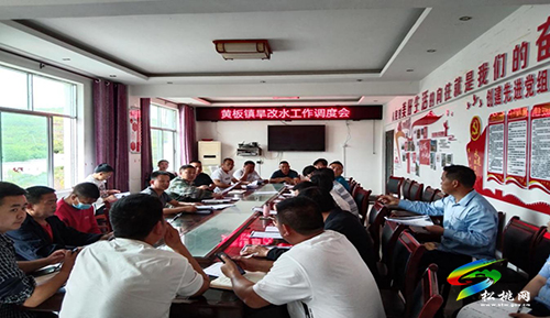 黃板鎮(zhèn)：支部建在地塊上　高效推動(dòng)土地提質(zhì)改造工作