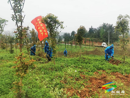 黃板鎮(zhèn)：抓黨建　持續(xù)深化黨員先鋒隊(duì)建設(shè)