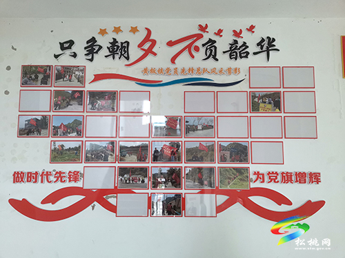 黃板鎮(zhèn)：抓黨建　持續(xù)深化黨員先鋒隊(duì)建設(shè)
