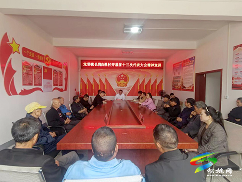 【貫徹黨代會　喜迎二十大】長興堡鎮(zhèn)：黨委班子成員帶頭開展“大宣講”活動