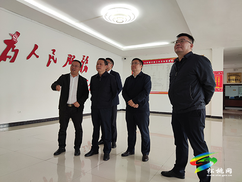 龍群躍到木樹鎮(zhèn)調(diào)研指導(dǎo)工作