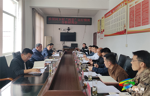 張德沛到沙壩河鄉(xiāng)調(diào)研新一屆村“兩委”班子運(yùn)行履職情況