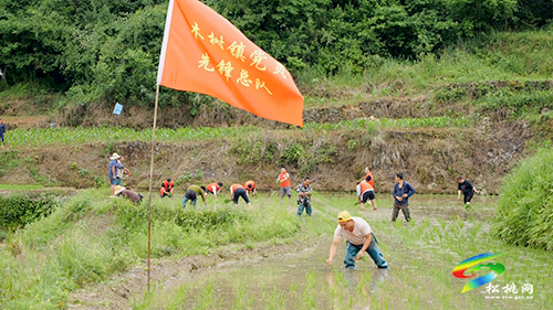 木樹鎮(zhèn)潮水村：喚醒“沉睡”撂荒地　守好群眾“米袋子”
