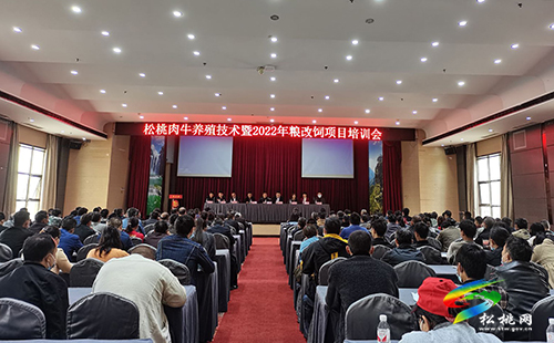 ​松桃召開肉牛養(yǎng)殖技術(shù)暨2022年糧改飼工作培訓(xùn)會(huì)