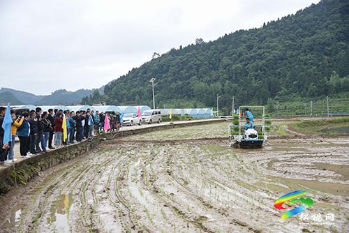 松桃舉辦2022年水稻機械化插秧技術(shù)培訓(xùn)
