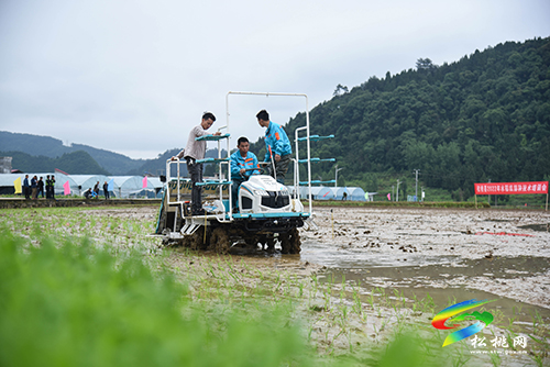 松桃舉辦2022年水稻機械化插秧技術(shù)培訓(xùn)