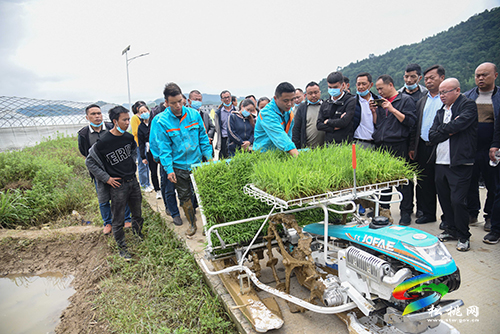 松桃舉辦2022年水稻機械化插秧技術(shù)培訓(xùn)