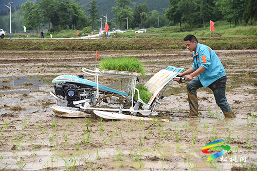 松桃舉辦2022年水稻機械化插秧技術(shù)培訓(xùn)