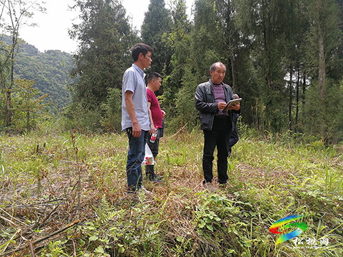 松桃林業(yè)局：有效推進，新一輪退耕還林驗收工作