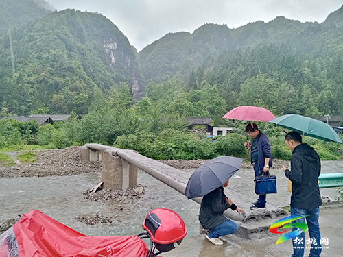【巡察故事】桐子坪村：安全便橋架通黨群干群心