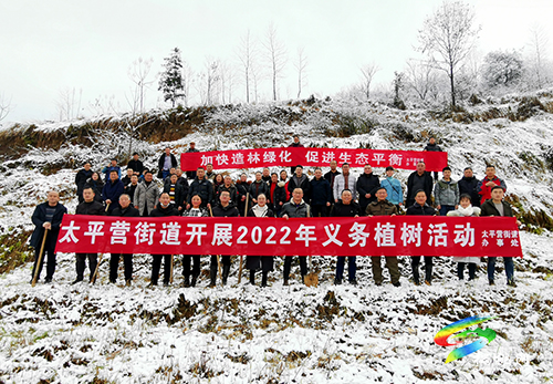 太平營(yíng)街道：繪太平“畫(huà)”卷，開(kāi)啟鄉(xiāng)村振興新篇章