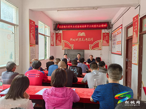 【貫徹黨代會(huì)　喜迎二十大】縣委編辦到平土村開展學(xué)習(xí)貫徹省第十三次黨代會(huì)精神專題宣講暨支部聯(lián)建活動(dòng)