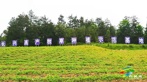 農(nóng)業(yè)富鎮(zhèn)、工業(yè)強鎮(zhèn)、文化興鎮(zhèn)——長興堡鎮(zhèn)著力推動“四新”促“四化”工作