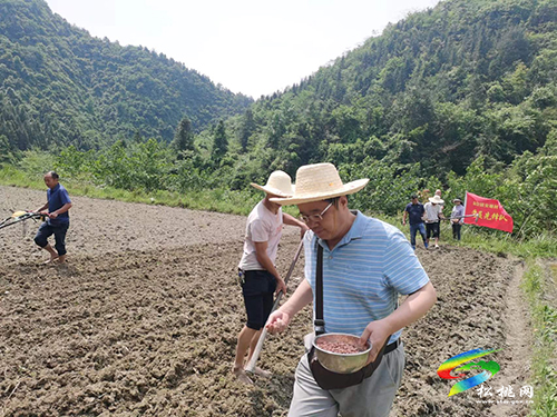 盤信鎮(zhèn)安塘村：堅(jiān)持黨建引領(lǐng)，架起“黨群”連心橋
