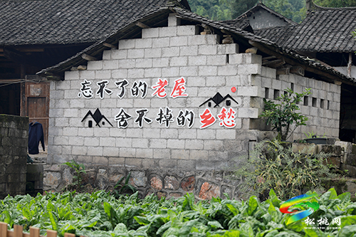 傅信平到松桃調(diào)研