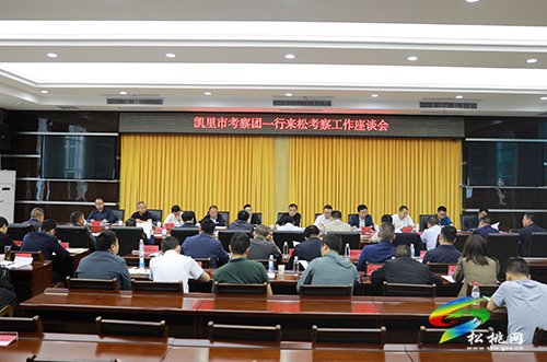 凱里市到松桃考察高標(biāo)準(zhǔn)農(nóng)田項(xiàng)目建設(shè)和土地整治工作