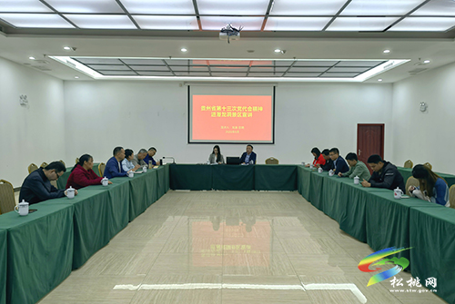 【貫徹黨代會　喜迎二十大】松桃“理論專家+名嘴解說”進(jìn)景區(qū)宣講省第十三次黨代會精神