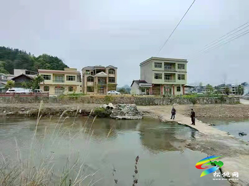 【巡察故事】平頭司河：多年石磴子變身安全橋
