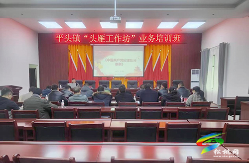 平頭鎮(zhèn)：三聚焦打造鄉(xiāng)村振興“黨建引擎”