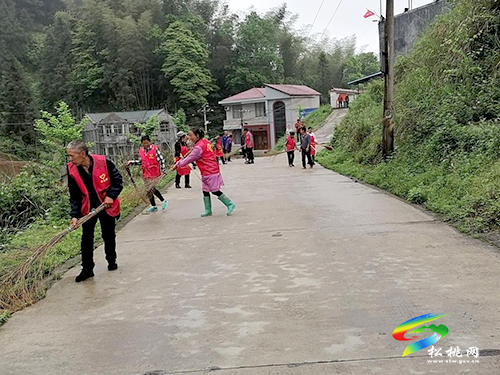 平頭鎮(zhèn)：三聚焦打造鄉(xiāng)村振興“黨建引擎”