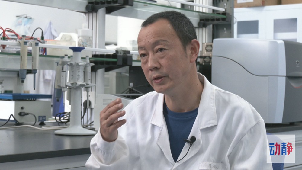 動靜深度丨黔茶出口“量價齊升”背后的密碼