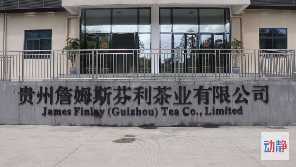 動靜深度丨黔茶出口“量價齊升”背后的密碼