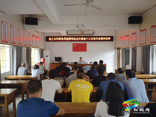 【貫徹黨代會(huì)　喜迎二十大】松桃工業(yè)和商務(wù)局到粑坳村開(kāi)展省第十三次黨代會(huì)精神宣講活動(dòng)