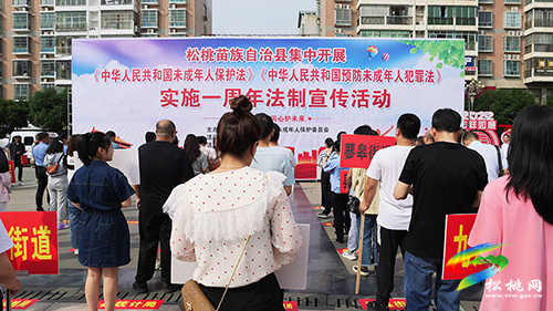 松桃集中開展《中華人民共和國未成年人保護法》《中華人民共和國預防未成年人犯罪法》實施一周年法制宣傳活動