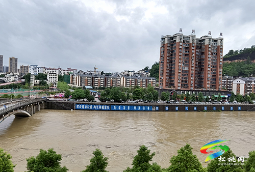 雨情通報(bào)
