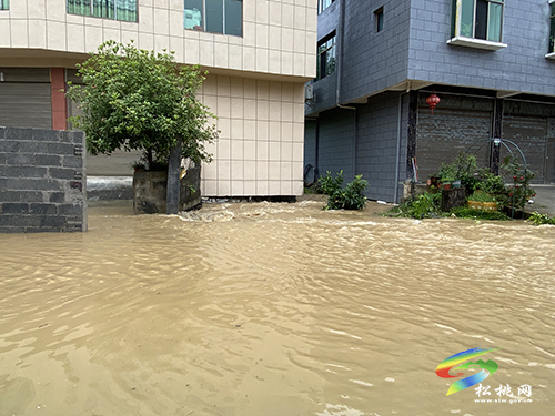 雨情通報(bào)