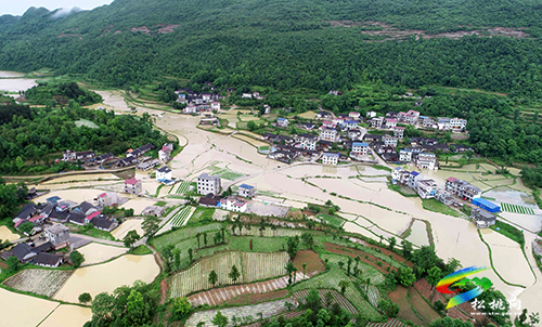 雨情通報(bào)