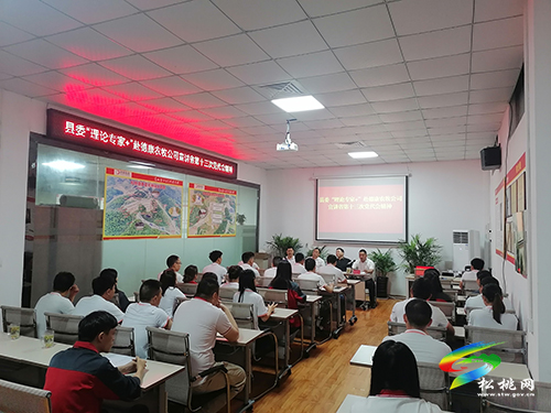 縣委“理論專家+”赴德康農(nóng)牧公司宣講省第十三次黨代會精神