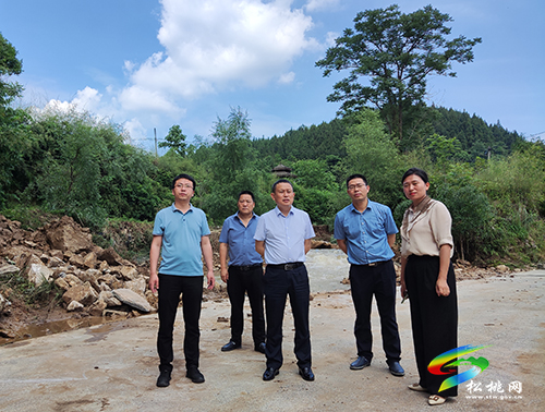 龍群躍到正大鎮(zhèn)調(diào)研指導(dǎo)防汛救災(zāi)重建工作