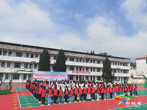 普覺片區(qū)舉辦中小學(xué)生籃球比賽