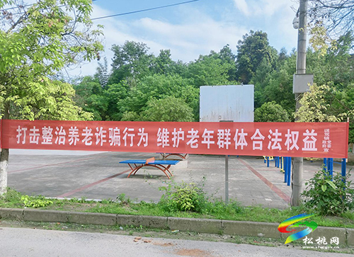 迓駕鎮(zhèn)：“三隊(duì)”出“三招”，密織反詐“宣傳網(wǎng)”