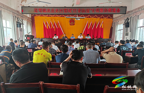 迓駕鎮(zhèn)：黨建引領“打非治違”抓實、抓嚴、抓常