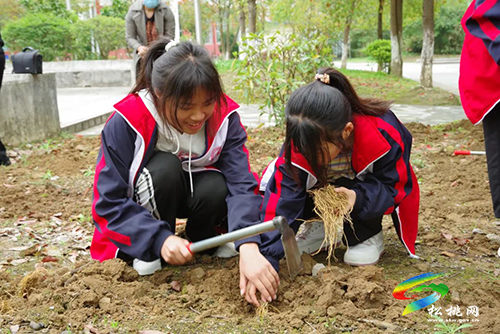 松桃民族中醫(yī)院：“六個(gè)強(qiáng)化”，助推醫(yī)院業(yè)務(wù)與黨建高質(zhì)量發(fā)展