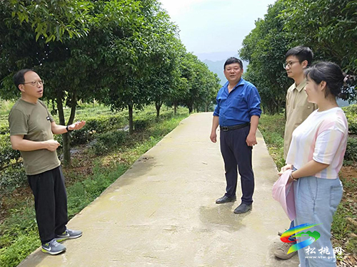 市科技局到松桃調(diào)研科技特派員工作