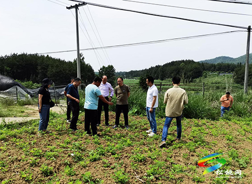 市科技局到松桃調(diào)研科技特派員工作